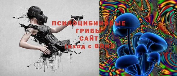 герыч Алексин