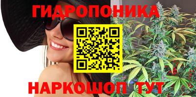 бутират Кингисепп