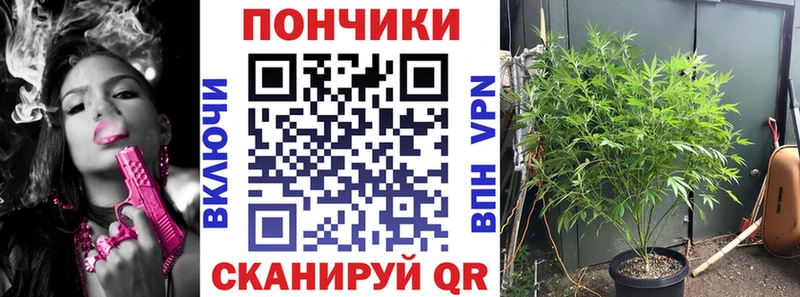 Бошки марихуана план Лысьва