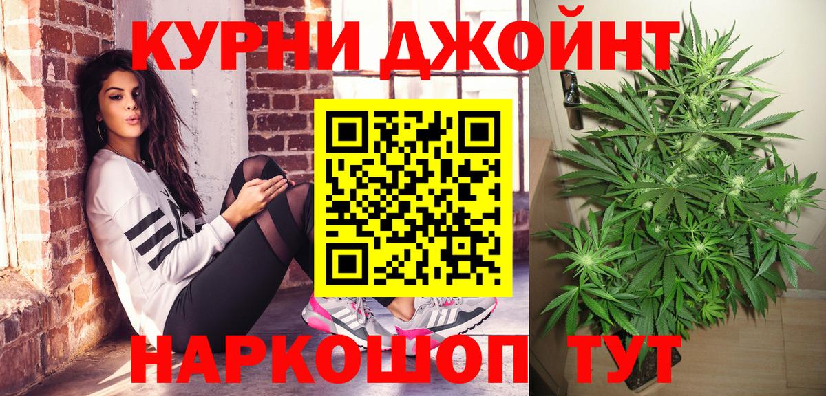 Каннабис сатива  Марихуана планчик  Вход с VPN  Канабис ГИДРОПОН  Лысьва 